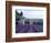 Lavender Field at Abbeye du Senanque-Owen Franken-Framed Photographic Print