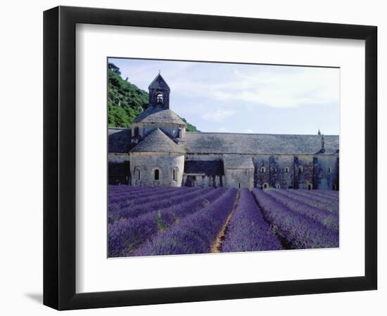 Lavender Field at Abbeye du Senanque-Owen Franken-Framed Photographic Print