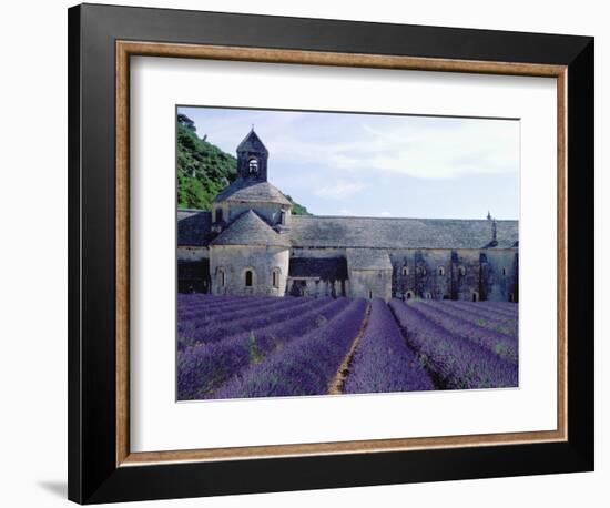 Lavender Field at Abbeye du Senanque-Owen Franken-Framed Photographic Print