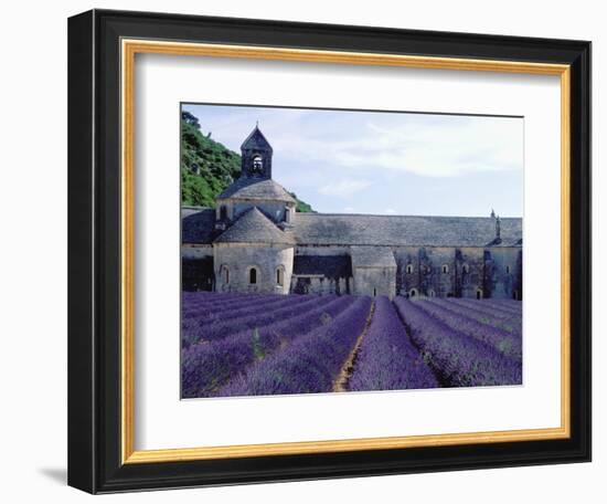 Lavender Field at Abbeye du Senanque-Owen Franken-Framed Photographic Print