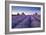 Lavender Field at Dawn, Somerset, England. Summer (July)-Adam Burton-Framed Photographic Print