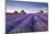 Lavender Field at Dawn, Somerset, England. Summer (July)-Adam Burton-Mounted Photographic Print
