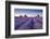 Lavender Field at Dawn, Somerset, England. Summer (July)-Adam Burton-Framed Photographic Print