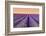 Lavender Field at Sunset, Plateau De Valensole, Provence, France-Stefano Politi Markovina-Framed Photographic Print