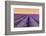 Lavender Field at Sunset, Plateau De Valensole, Provence, France-Stefano Politi Markovina-Framed Photographic Print