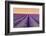 Lavender Field at Sunset, Plateau De Valensole, Provence, France-Stefano Politi Markovina-Framed Photographic Print