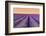 Lavender Field at Sunset, Plateau De Valensole, Provence, France-Stefano Politi Markovina-Framed Photographic Print