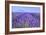 Lavender Field Close Up-Cora Niele-Framed Giclee Print