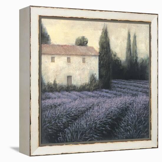 Lavender Field Detail-James Wiens-Framed Stretched Canvas