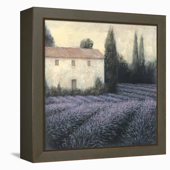 Lavender Field Detail-James Wiens-Framed Stretched Canvas