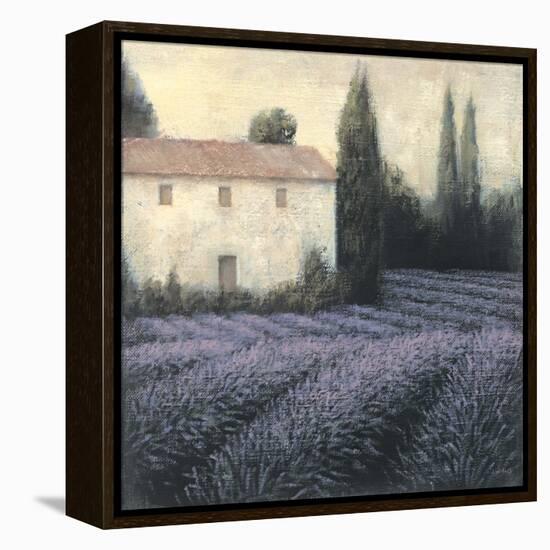 Lavender Field Detail-James Wiens-Framed Stretched Canvas