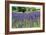 Lavender Field I-Dana Styber-Framed Photographic Print