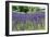 Lavender Field I-Dana Styber-Framed Photographic Print