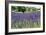 Lavender Field I-Dana Styber-Framed Photographic Print