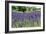 Lavender Field I-Dana Styber-Framed Photographic Print