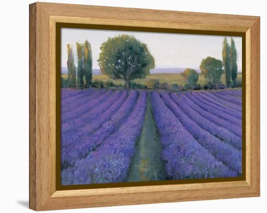 Lavender Field II-null-Framed Stretched Canvas