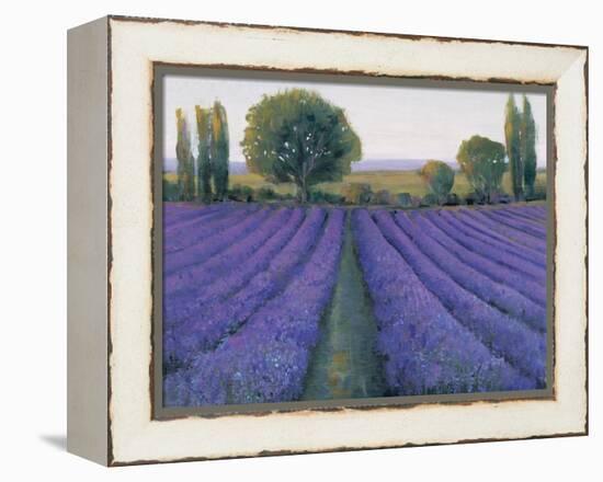 Lavender Field II-null-Framed Stretched Canvas