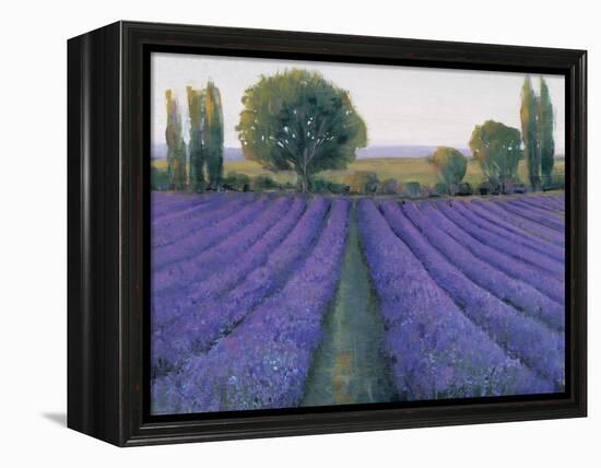 Lavender Field II-null-Framed Stretched Canvas