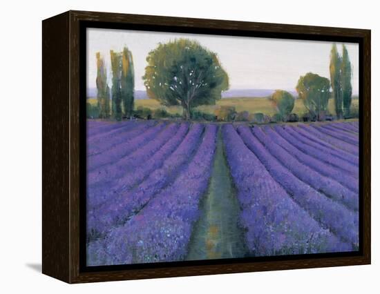 Lavender Field II-null-Framed Stretched Canvas