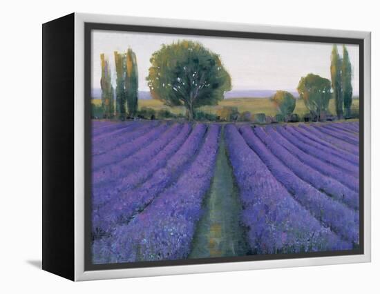 Lavender Field II-null-Framed Stretched Canvas