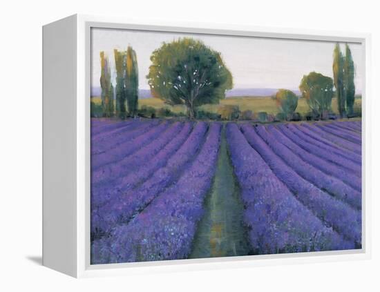 Lavender Field II-null-Framed Stretched Canvas
