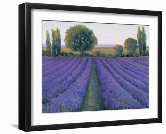 Lavender Field II-null-Framed Art Print