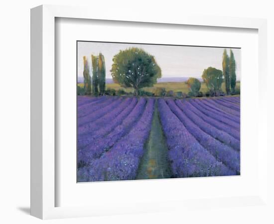 Lavender Field II-null-Framed Premium Giclee Print