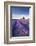 Lavender field in flower, Faulkland, Somerset, England. Summer (July) 2014.-Adam Burton-Framed Photographic Print