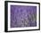 Lavender Field, Lordington Lavender Farm, Lordington, West Sussex, England, United Kingdom, Europe-Jean Brooks-Framed Photographic Print