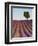 Lavender Field, Provence-Alpes-Cote D'Azur, France-Doug Pearson-Framed Photographic Print