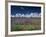 Lavender Field, Provence, France-Gavriel Jecan-Framed Photographic Print