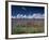 Lavender Field, Provence, France-Gavriel Jecan-Framed Photographic Print