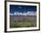 Lavender Field, Provence, France-Gavriel Jecan-Framed Photographic Print