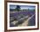 Lavender Field, Provence, France-Gavriel Jecan-Framed Photographic Print