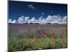 Lavender Field, Provence, France-Gavriel Jecan-Mounted Photographic Print