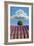 Lavender Field, Provence-Nino Marcutti-Framed Photographic Print