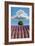 Lavender Field, Provence-Nino Marcutti-Framed Photographic Print