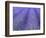 Lavender Field, Sequim, Olympic National Park, Washington, USA-Charles Sleicher-Framed Photographic Print