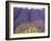 Lavender Field, Sequim, Washington, USA-Charles Sleicher-Framed Photographic Print