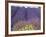 Lavender Field, Sequim, Washington, USA-Charles Sleicher-Framed Photographic Print