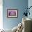 Lavender Field, Sequim, Washington, USA-Janell Davidson-Framed Photographic Print displayed on a wall