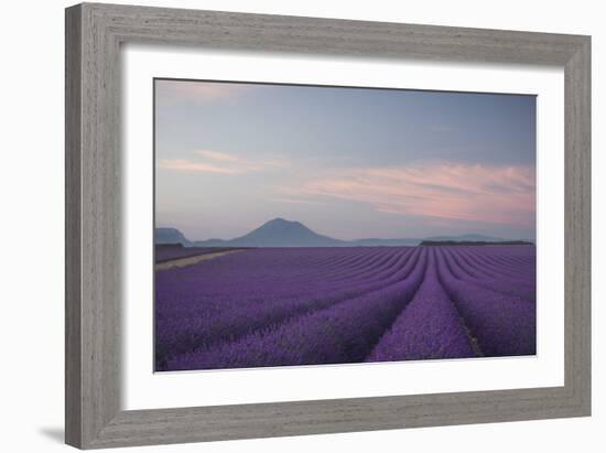 Lavender Field-Rostovskiy Anton-Framed Giclee Print