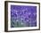 Lavender Field-Herbert Kehrer-Framed Photographic Print