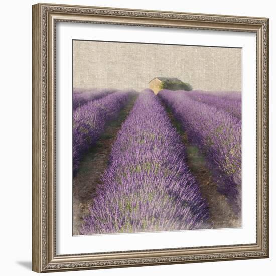 Lavender Field-Bret Staehling-Framed Art Print