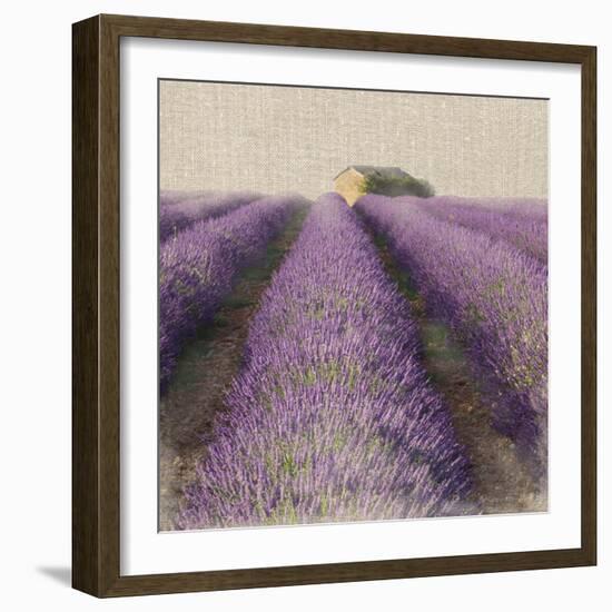 Lavender Field-Bret Staehling-Framed Art Print