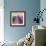 Lavender Field-Bret Staehling-Framed Art Print displayed on a wall