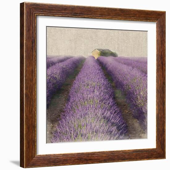 Lavender Field-Bret Staehling-Framed Art Print