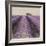 Lavender Field-Bret Staehling-Framed Art Print