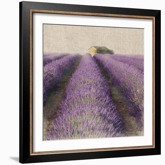 Lavender Field-Bret Staehling-Framed Art Print