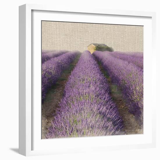 Lavender Field-Bret Staehling-Framed Art Print